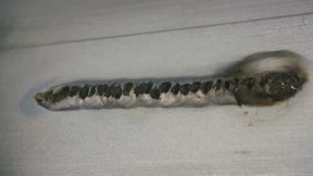 Image2